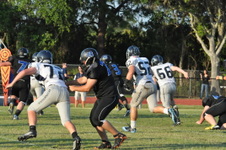 Enlarge photo 475