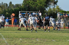 Enlarge photo 495