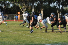 Enlarge photo 534