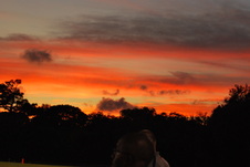Enlarge photo 131