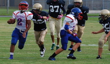 Enlarge photo 17