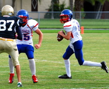 Enlarge photo 24