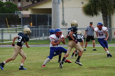 Enlarge photo 51