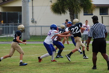 Enlarge photo 52