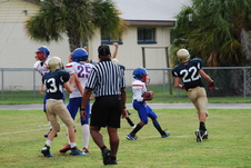 Enlarge photo 54