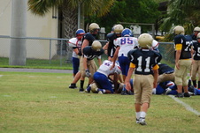 Enlarge photo 79