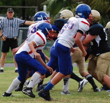 Enlarge photo 81