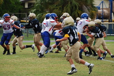 Enlarge photo 85