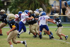 Enlarge photo 84