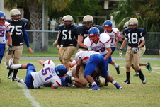 Enlarge photo 90