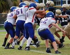 Enlarge photo 95