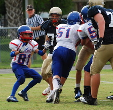 Enlarge photo 99