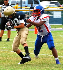 Enlarge photo 110