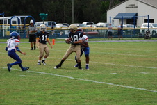 Enlarge photo 115