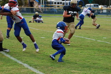 Enlarge photo 129