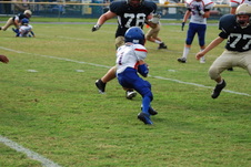 Enlarge photo 130