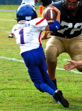 Enlarge photo 128