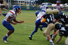 Enlarge photo 131