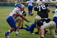 Enlarge photo 132