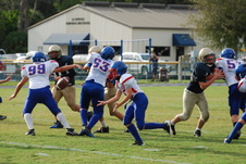Enlarge photo 151