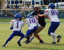 Enlarge photo 153