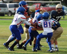 Enlarge photo 176