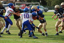 Enlarge photo 178