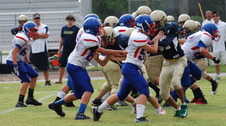 Enlarge photo 206