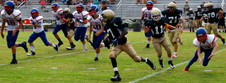 Enlarge photo 209