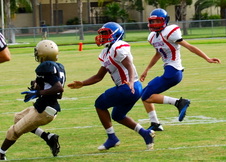 Enlarge photo 213
