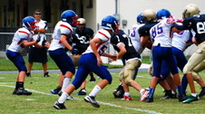 Enlarge photo 229