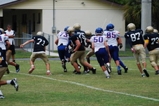 Enlarge photo 233