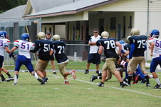 Enlarge photo 235
