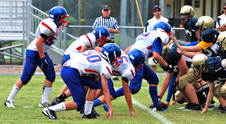 Enlarge photo 236