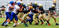 Enlarge photo 239