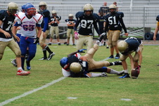 Enlarge photo 247