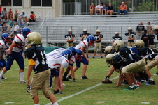 Enlarge photo 253