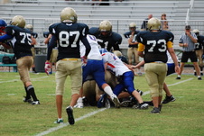 Enlarge photo 261