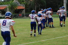 Enlarge photo 263