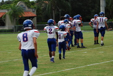Enlarge photo 264