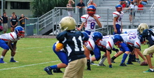 Enlarge photo 266