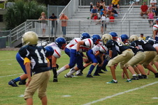 Enlarge photo 269