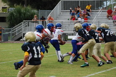 Enlarge photo 272