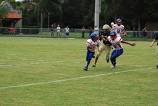 Enlarge photo 275