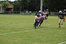 Enlarge photo 278