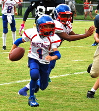 Enlarge photo 276