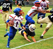 Enlarge photo 279