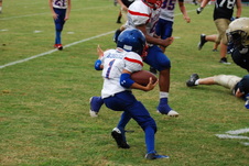 Enlarge photo 280