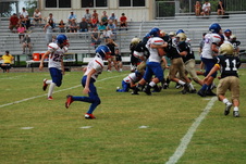 Enlarge photo 291