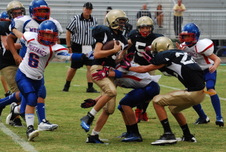 Enlarge photo 309